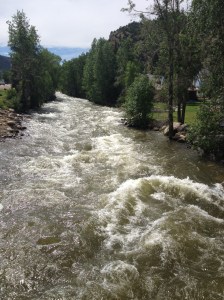 The creek's up; now that's "in the flow"!