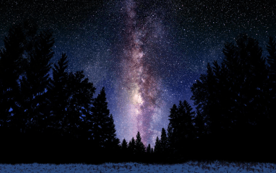 Milky Way Over Forest