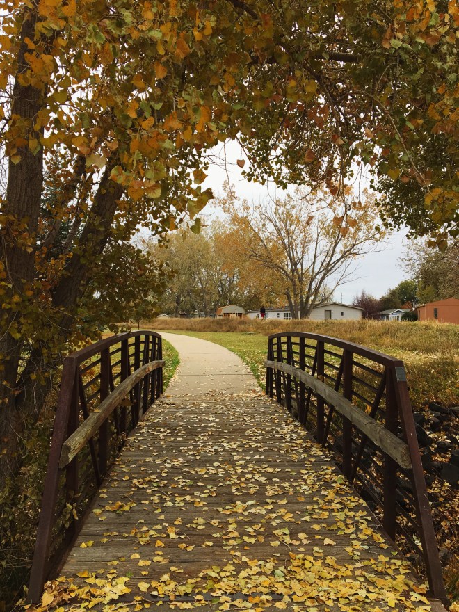 Wooden bridge and autumn leaves 
